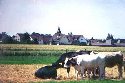 Arheilgen